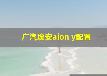 广汽埃安aion y配置